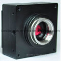Bestscope Buc3c Промышленные цифровые фотокамеры (Буфер кадра)